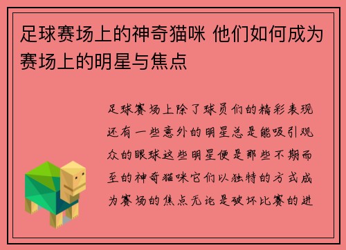 足球赛场上的神奇猫咪 他们如何成为赛场上的明星与焦点