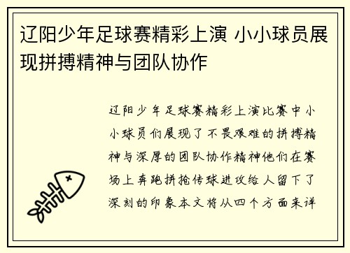 辽阳少年足球赛精彩上演 小小球员展现拼搏精神与团队协作