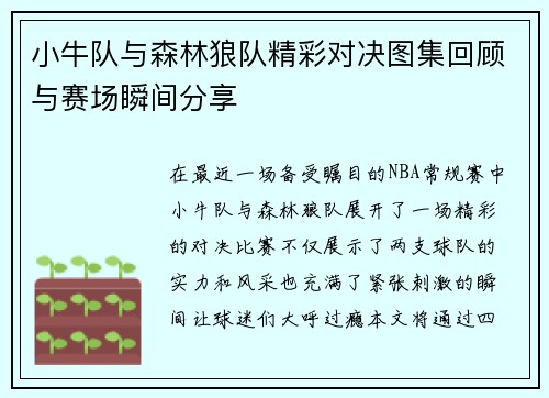 小牛队与森林狼队精彩对决图集回顾与赛场瞬间分享